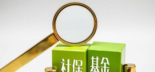 社保之重 從個體選擇到社會養(yǎng)老責(zé)任的思考